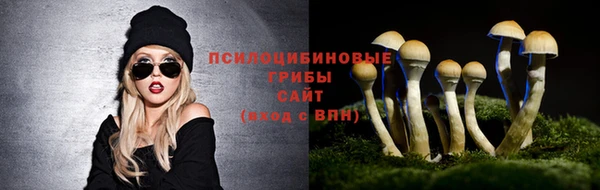молекула духа Балабаново