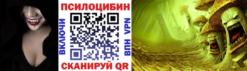 купить наркотик  Олёкминск  Галлюциногенные грибы мицелий 
